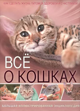 Книги о кошках. Книги про кошек. Энциклопедия. Кошки. Энциклопедия кошек книга. Книги про больших кошек.