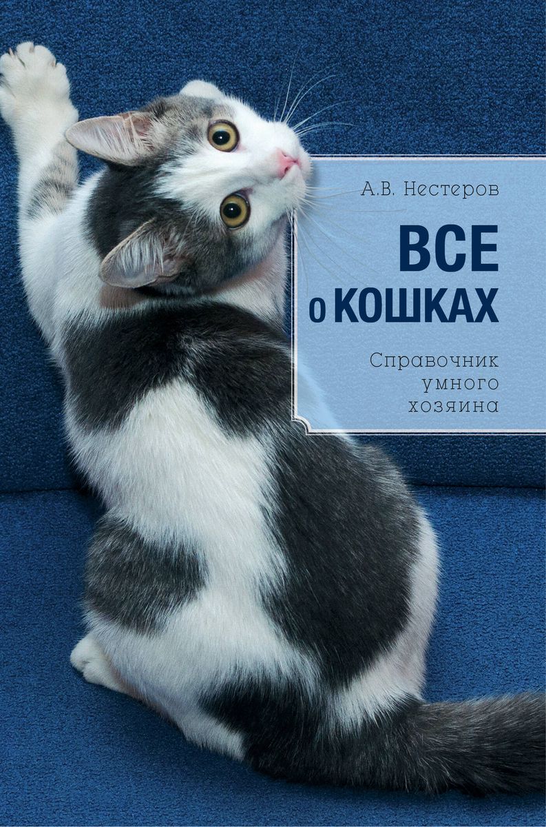 Все о кошках (Светлана Дудникова) - купить книгу с доставкой в  интернет-магазине «Читай-город». ISBN: 978-5-69-977450-0