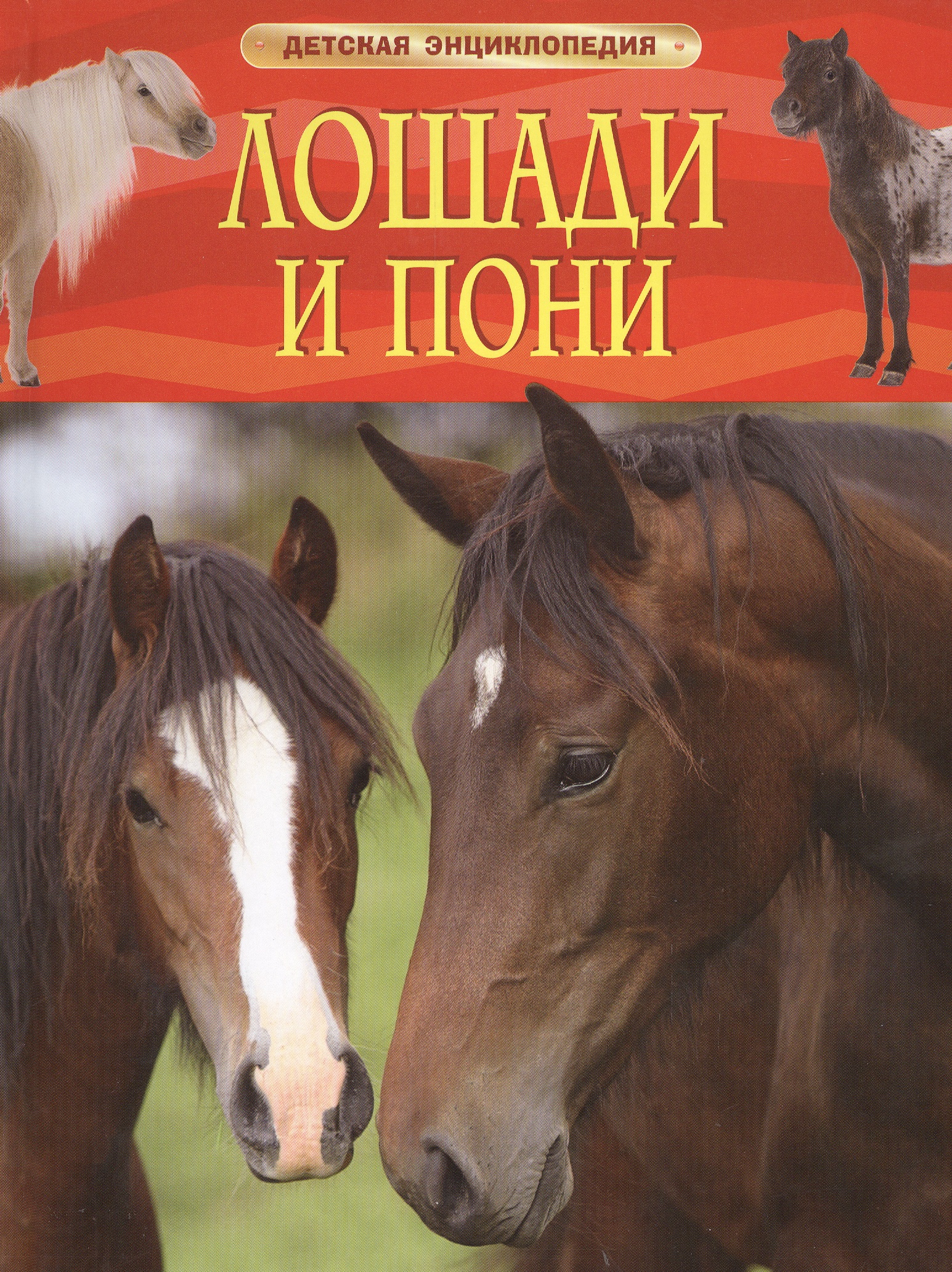 Лошади и пони познакомься с миром лошади и пони