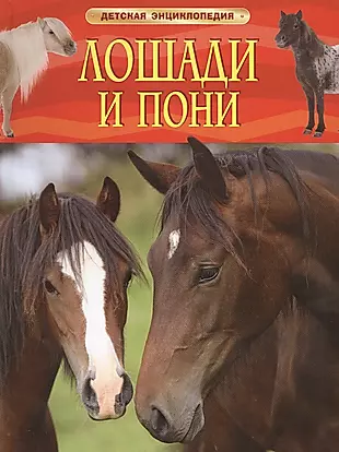 Лошади и пони — 2472373 — 1