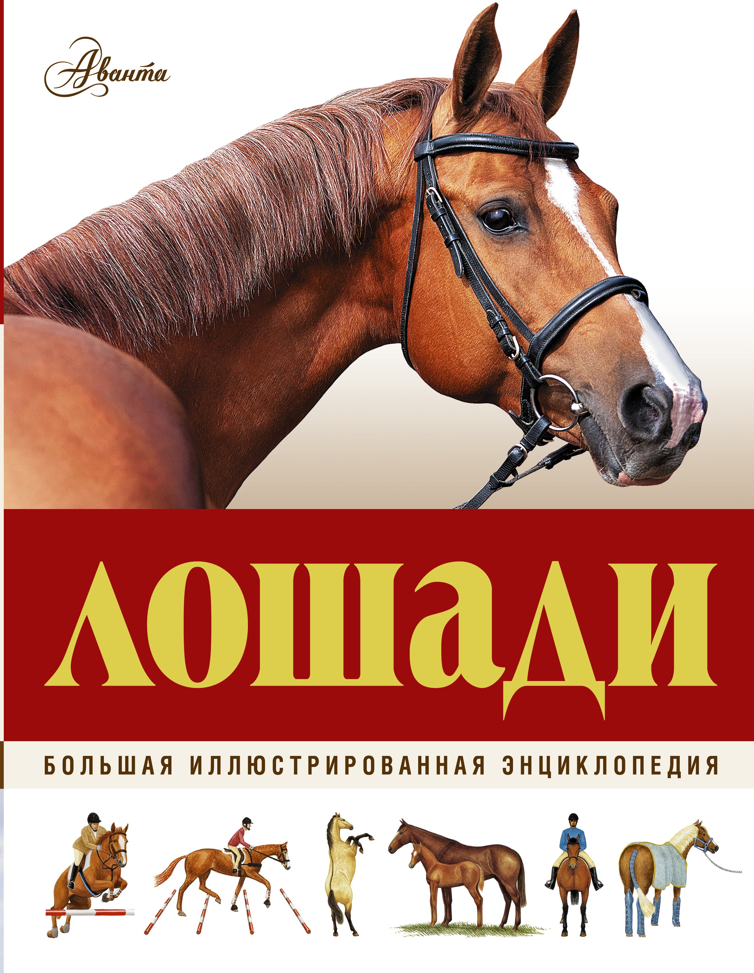 

Большая иллюстрированная энциклопедия. Лошади