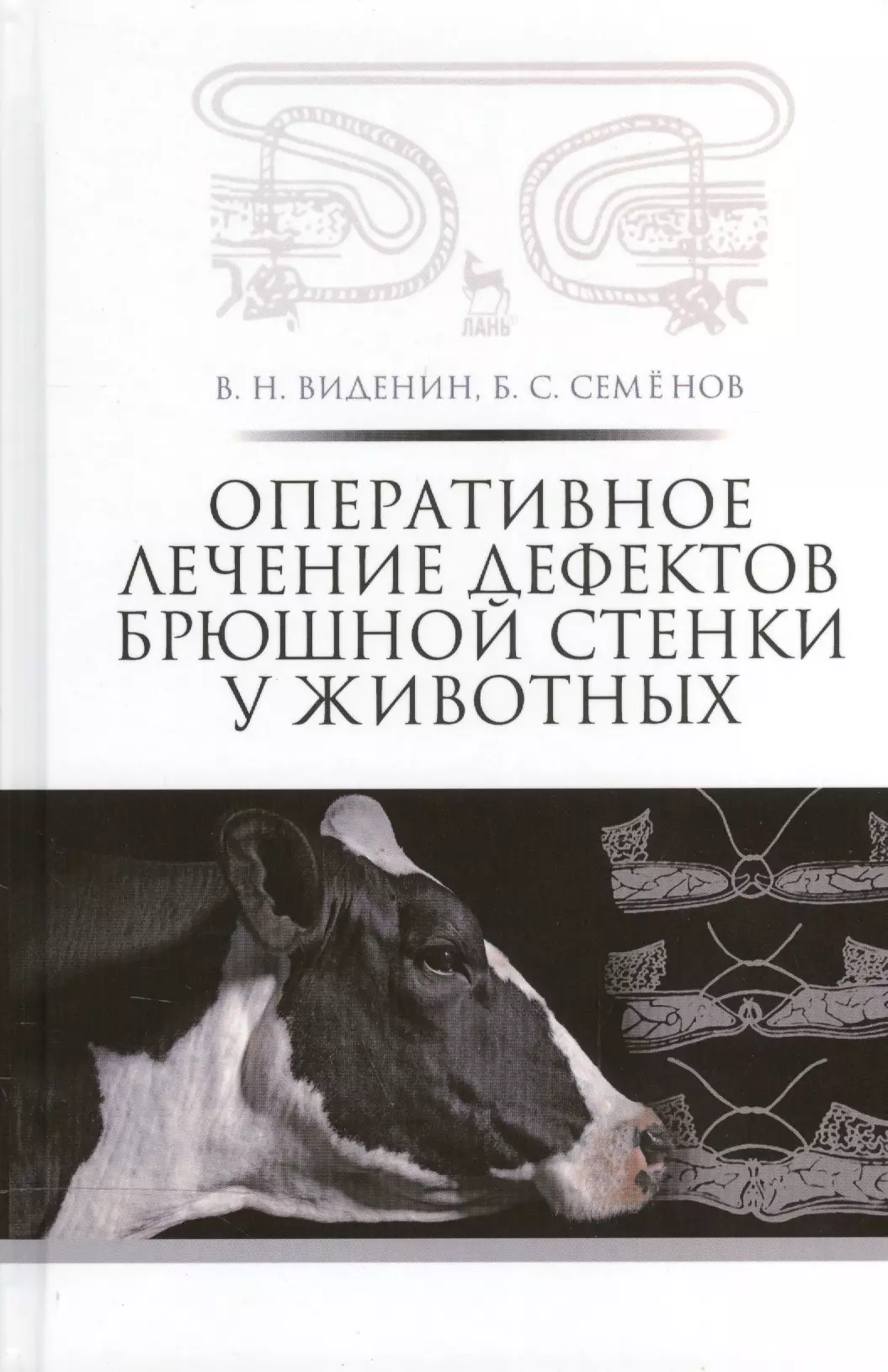 

Оперативное лечение дефектов брюшной стенки у животных: учебное пособие