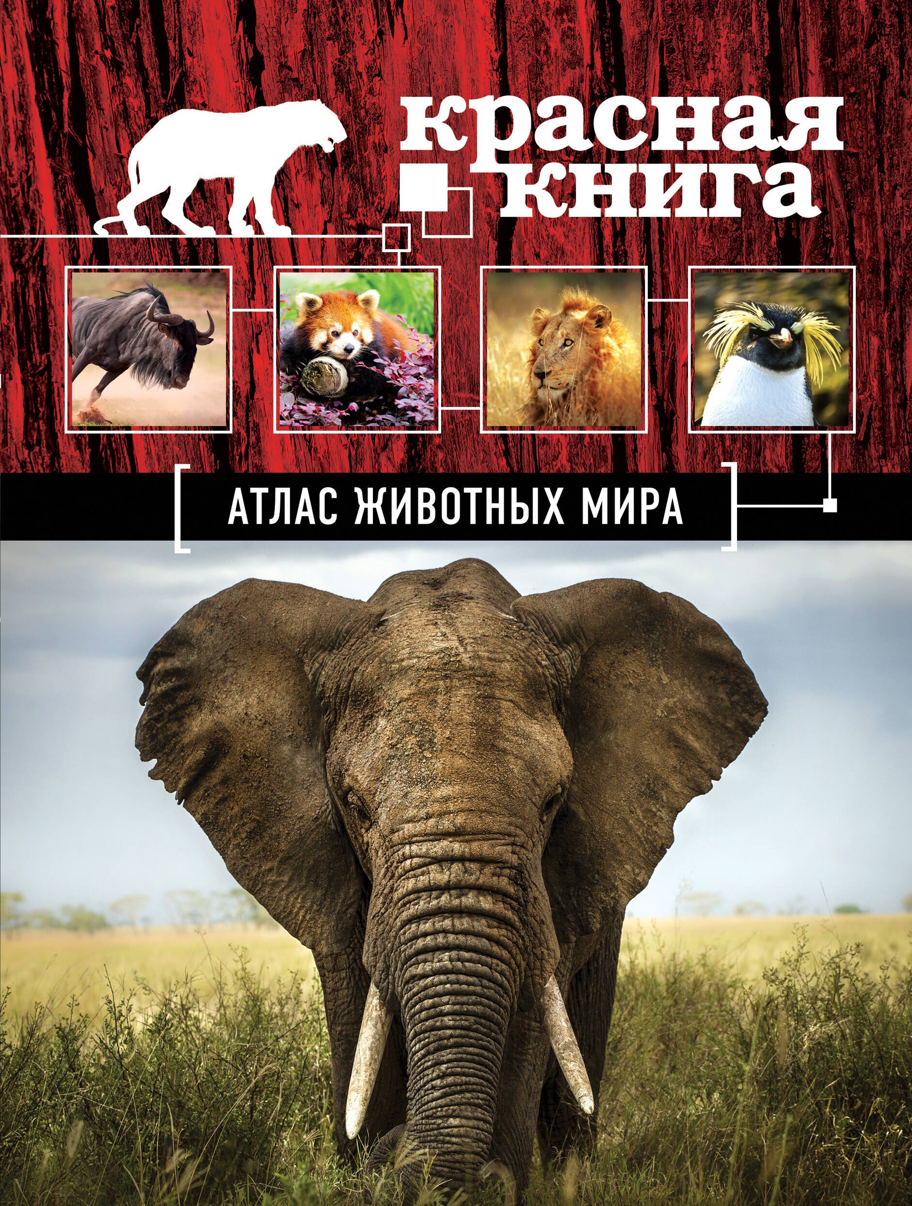 

Атлас животных мира