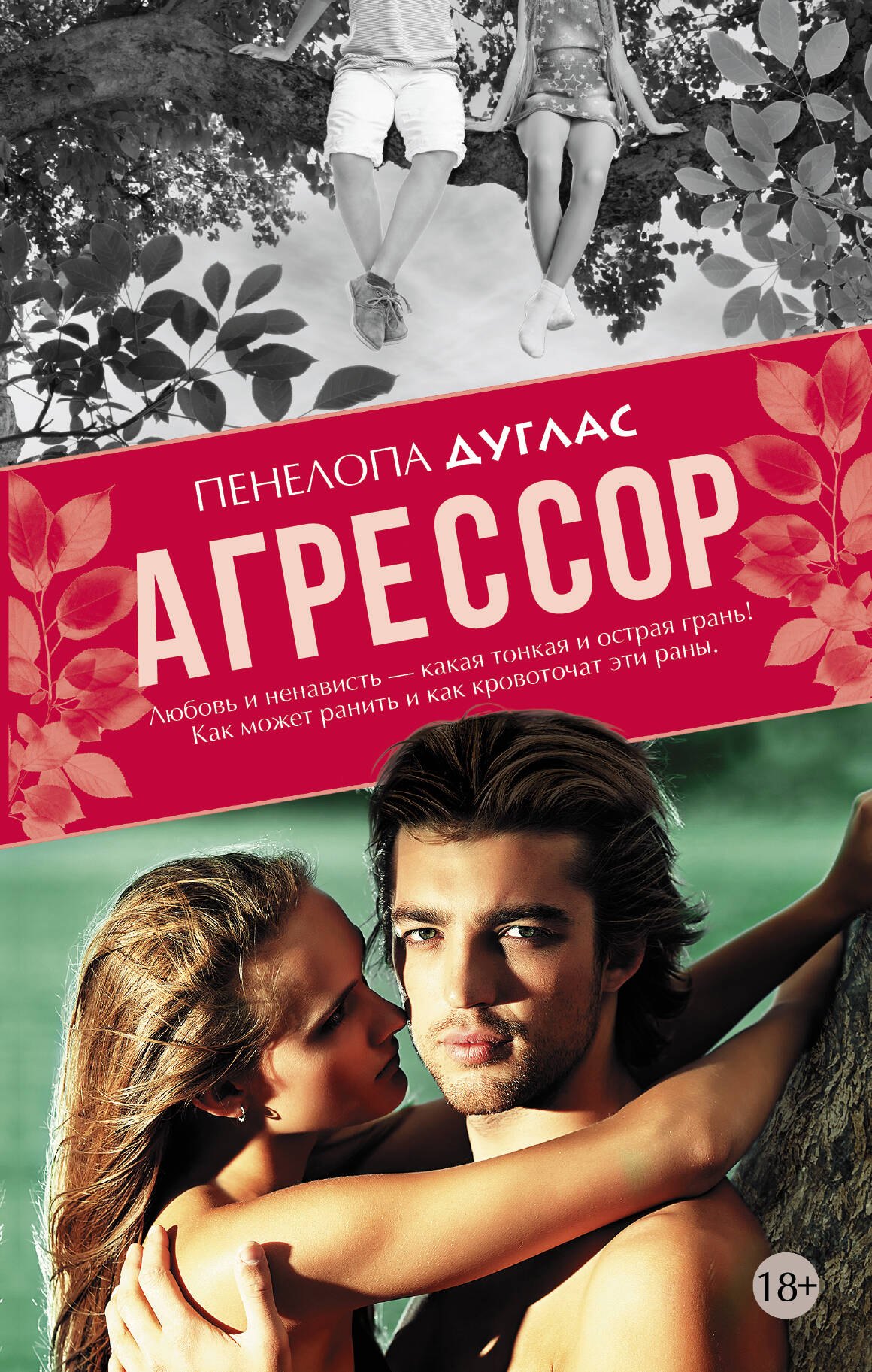 

Агрессор: роман