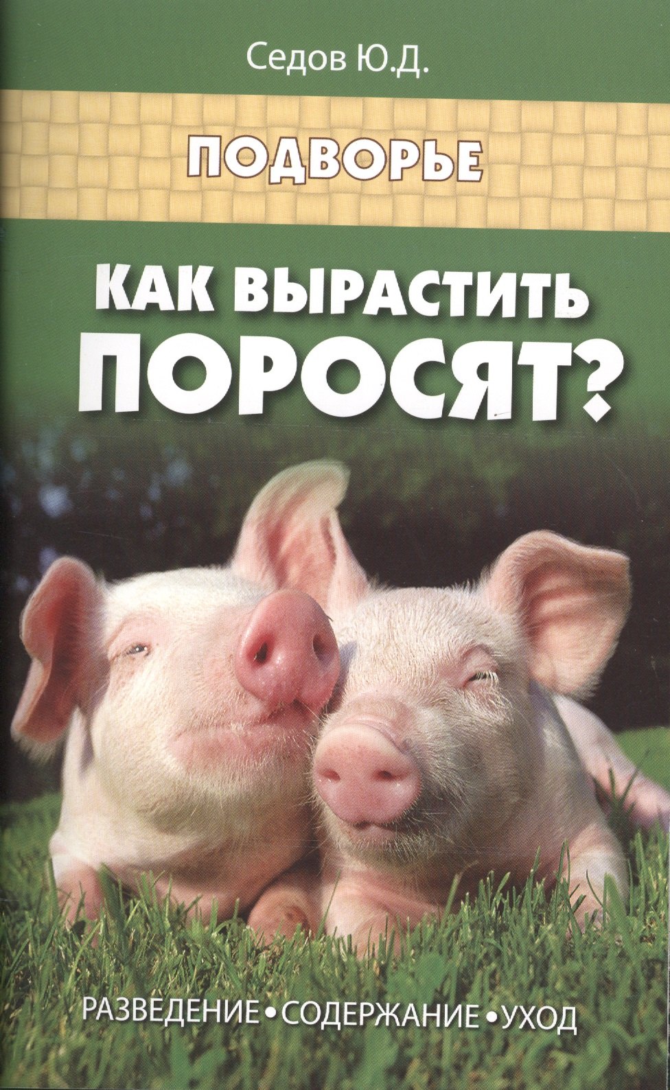 

Как вырастить поросят:разведение,содержание