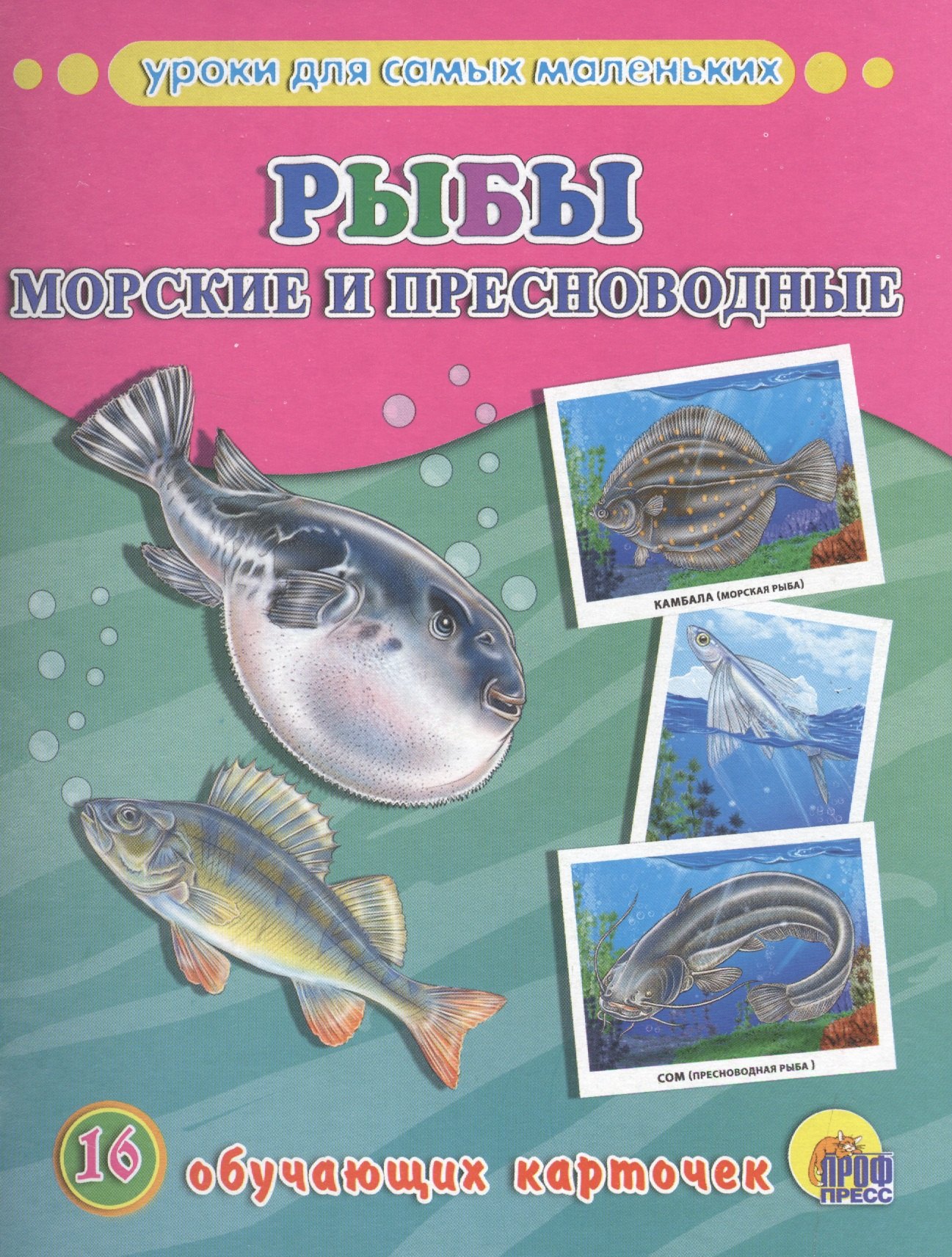 

Рыбы морские и пресноводные