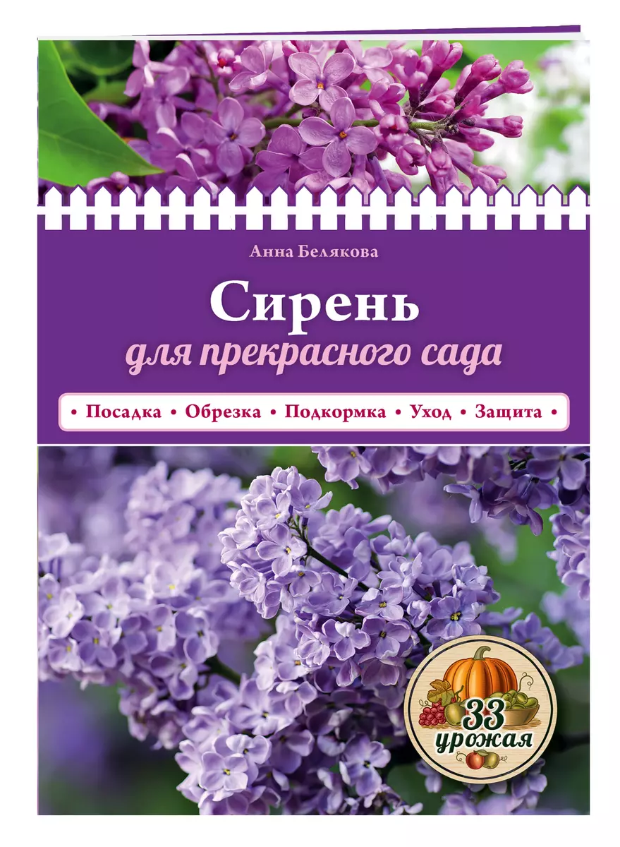 Сирень для прекрасного сада (Анна Белякова) - купить книгу с доставкой в  интернет-магазине «Читай-город». ISBN: 978-5-69-984619-1