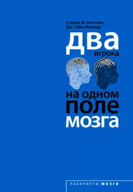 Книги из серии «Психология. Лабиринты мозга» | Купить в интернет-магазине  «Читай-Город»