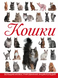 Кошки (Дмитрий Смирнов) - купить книгу с доставкой в интернет-магазине  «Читай-город». ISBN: 978-5-17-095413-1