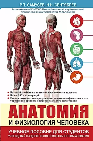 Анатомия и физиология человека. Учебное пособие для студентов учреждений среднего профессионального образования — 2505226 — 1