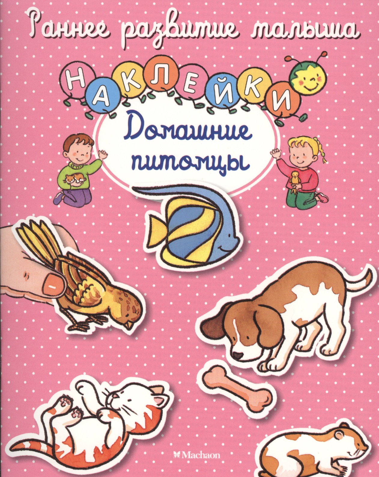 плакат карточки домашние питомцы Домашние питомцы