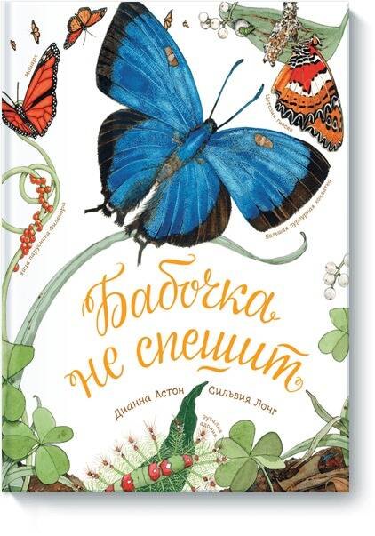 

Бабочка не спешит