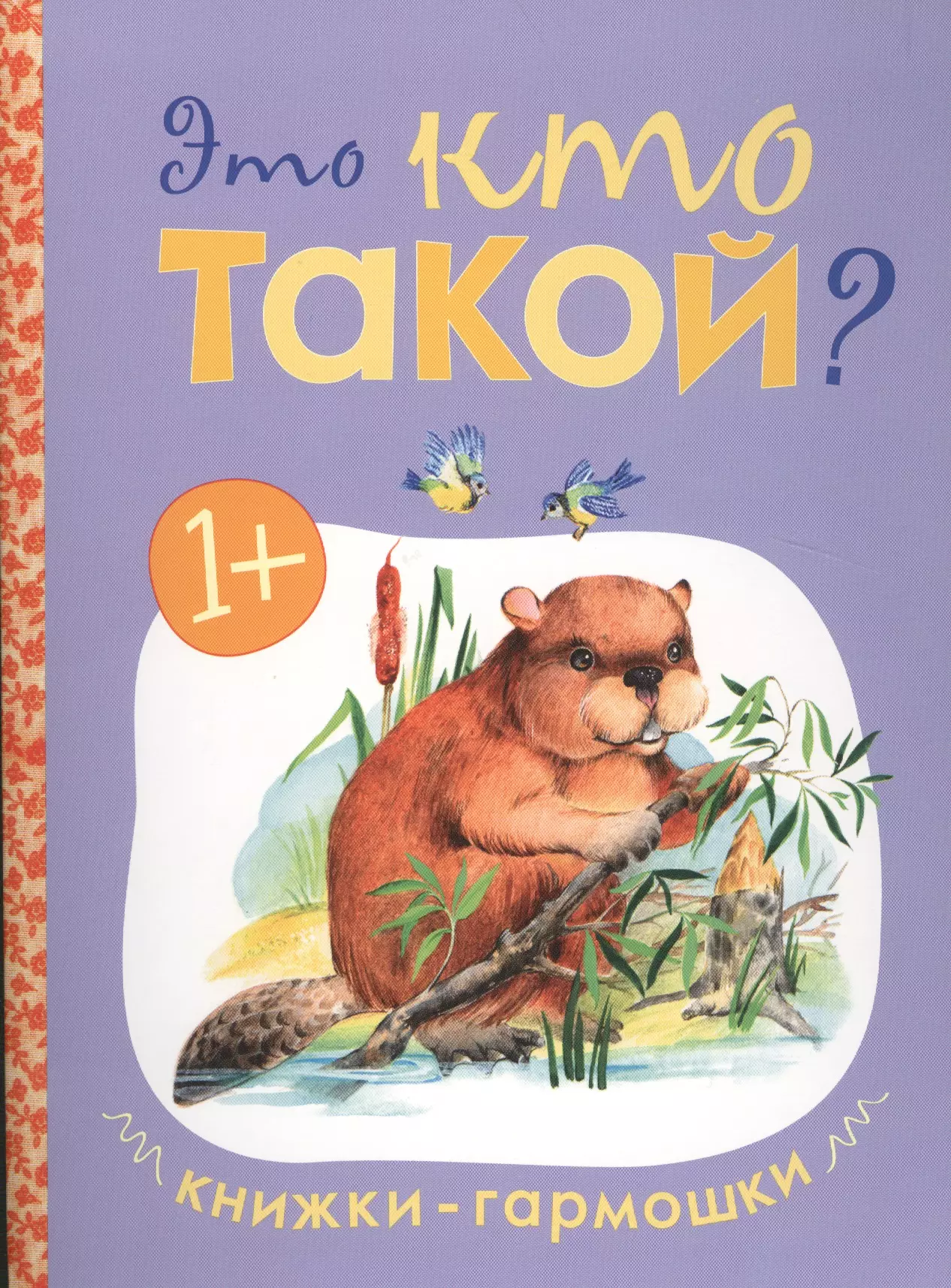 None Книжки-гармошки. Это кто такой?