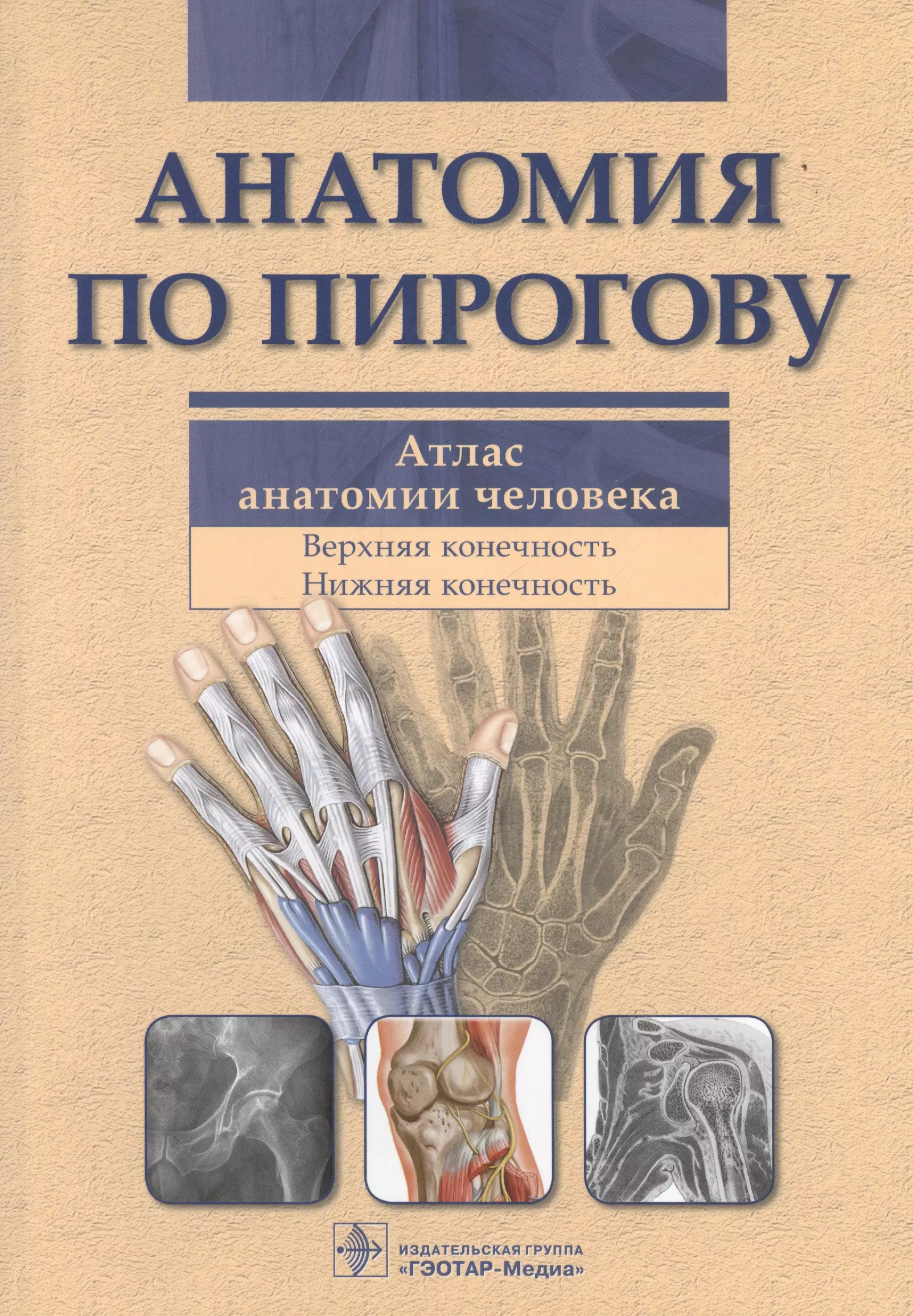 

Анатомия по Пирогову. Атлас анатомии человека. В 3-х томах. Том 1. Верхняя конечность. Нижняя конечность