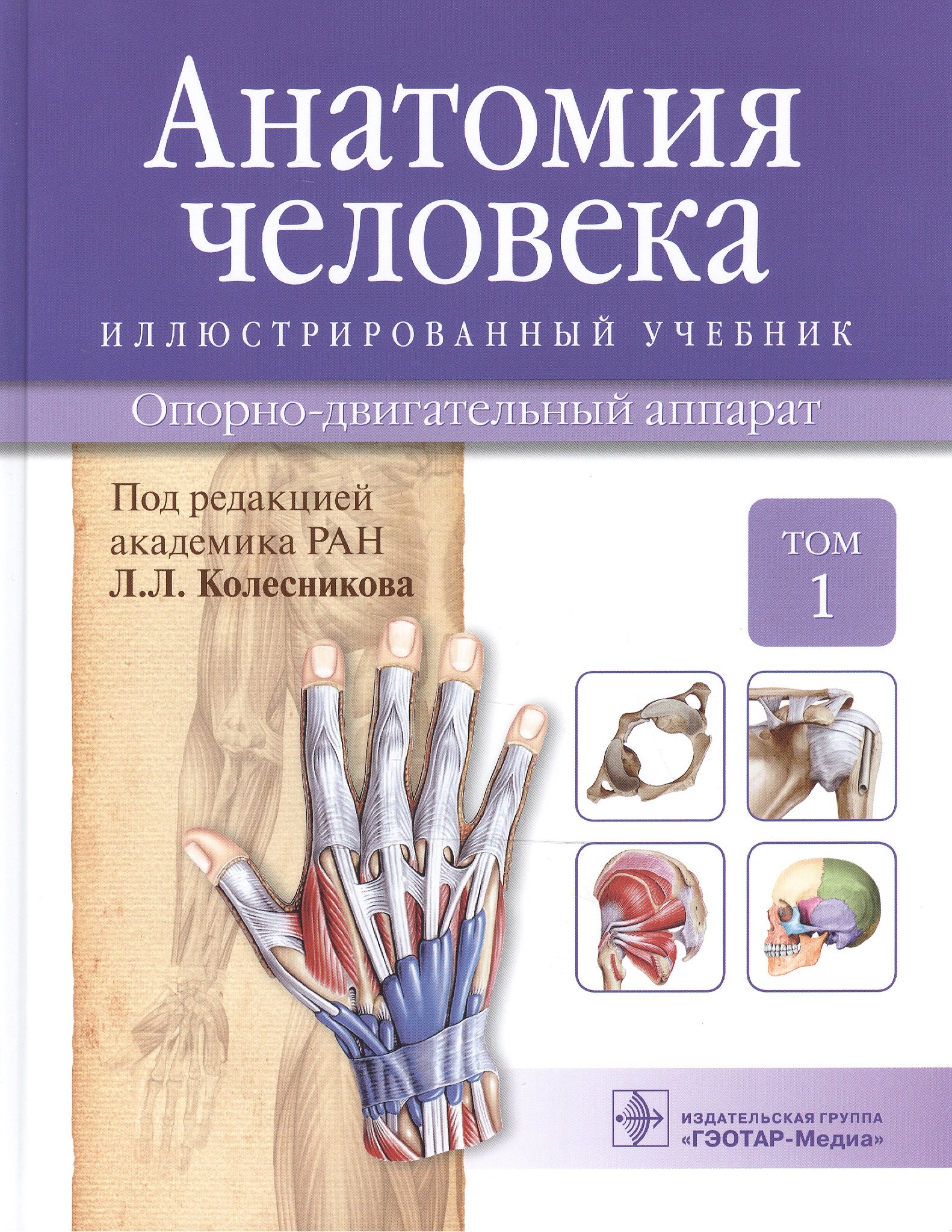 

Анатомия человека.Т.1-Опорно-двигательный аппарат.Учебник в 3 томах