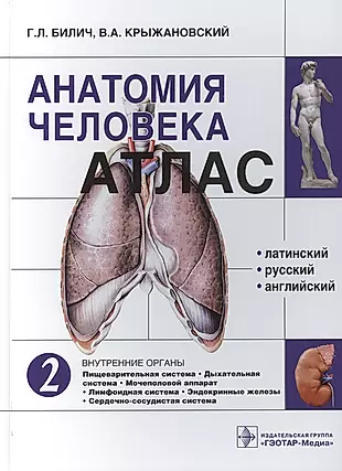 Анатомия человека. Атлас: учебное пособие. В 3 томах. Том 2. Внутренние органы. — 2513197 — 1