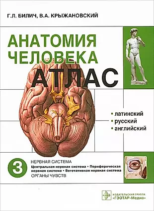 Атлас.Анатомия человека.Т.3-Нервная система.В 3х томах. — 2513198 — 1