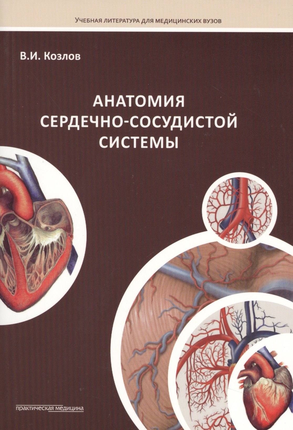 

Анатомия сердечно-сосудистой системы: учебное пособие для студентов медицинских вузов