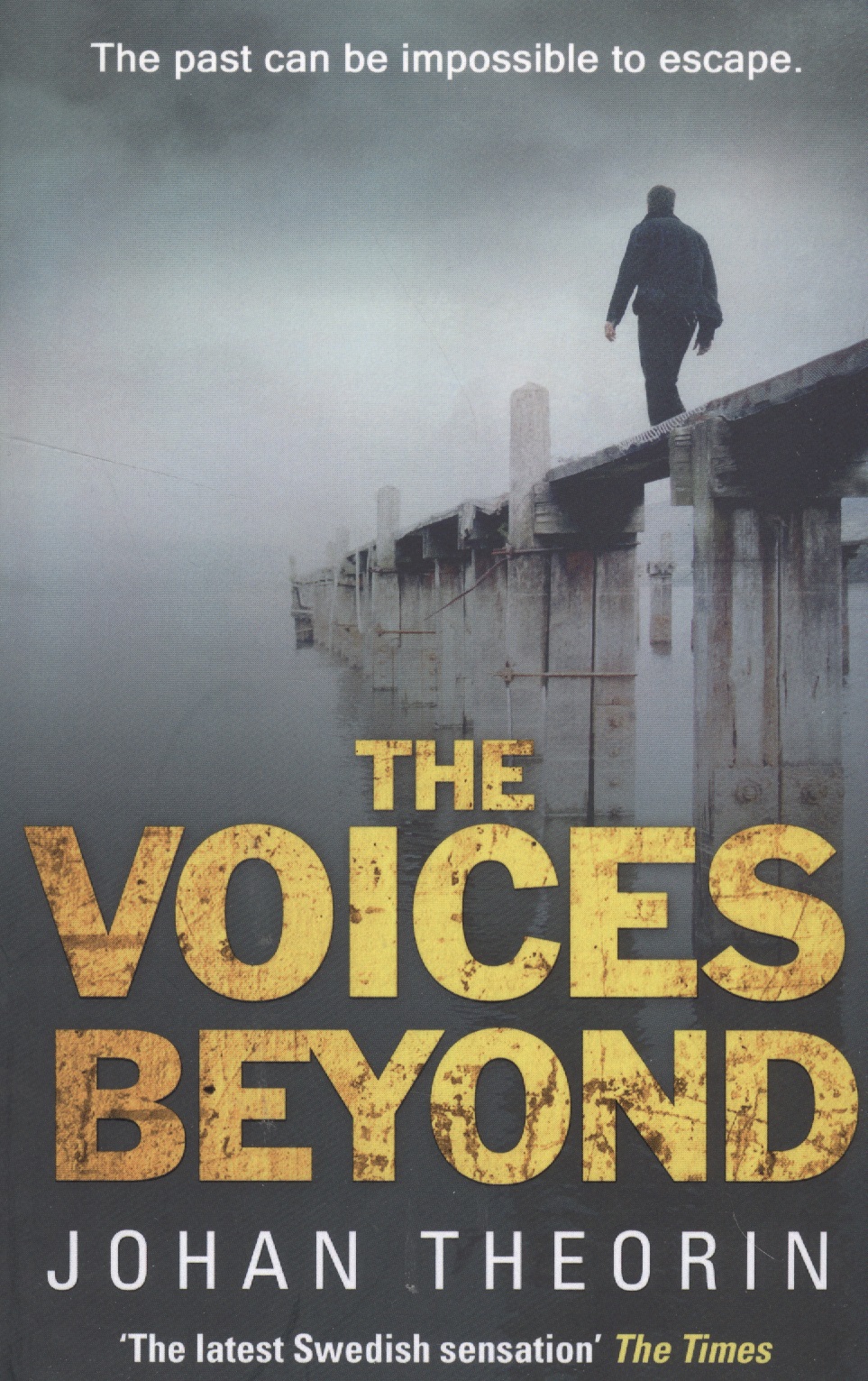 The Voices Beyond max richter voices
