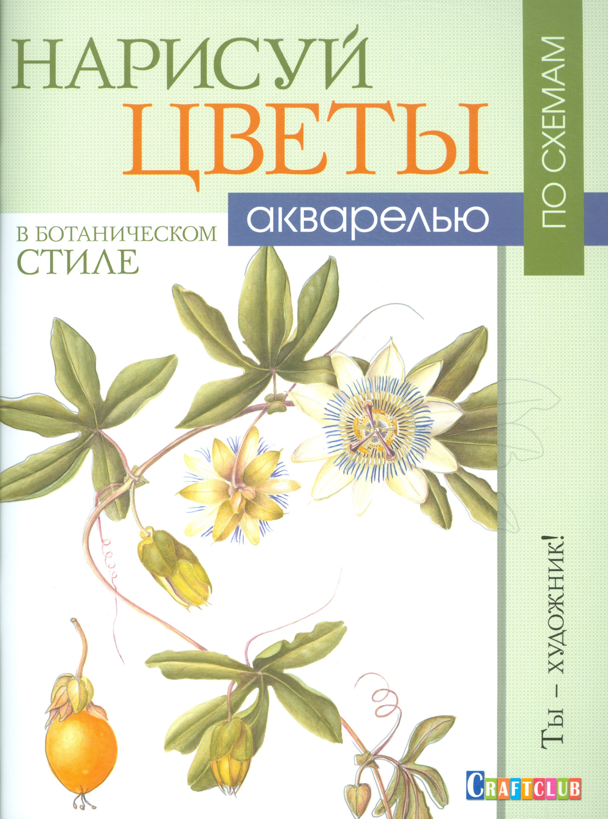 

Нарисуй цветы в ботаническом стиле акварелью по схемам. Ты - художник