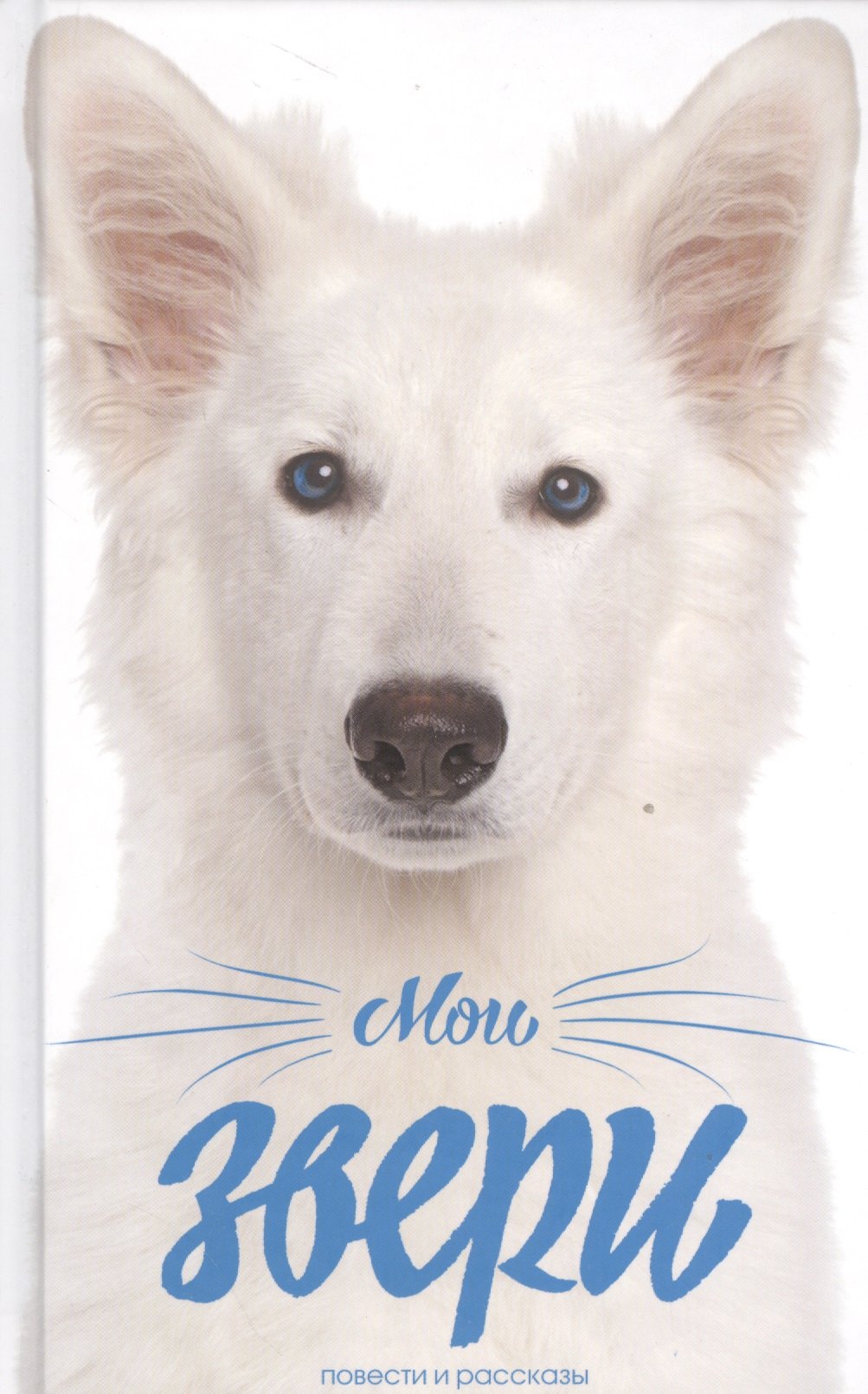 

Мои звери
