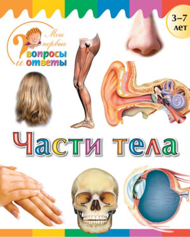 

Части тела