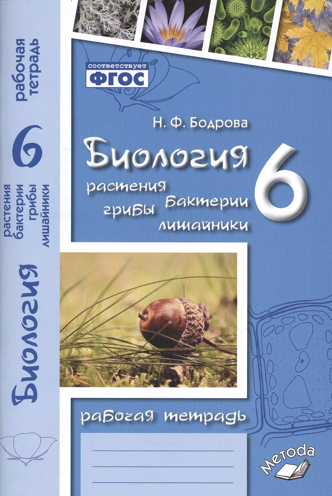 Бодрова Наталья Федоровна Биология. 6 класс. Растения. Бактерии. Грибы. Лишайники. Рабочая тетрадь