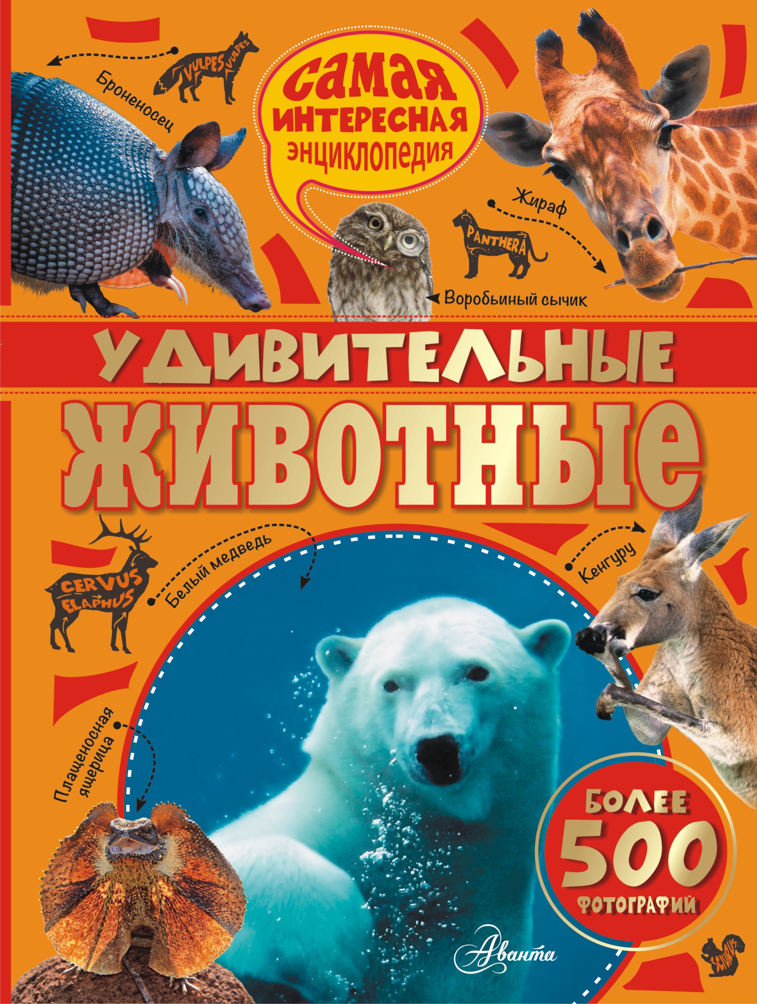 

Удивительные животные