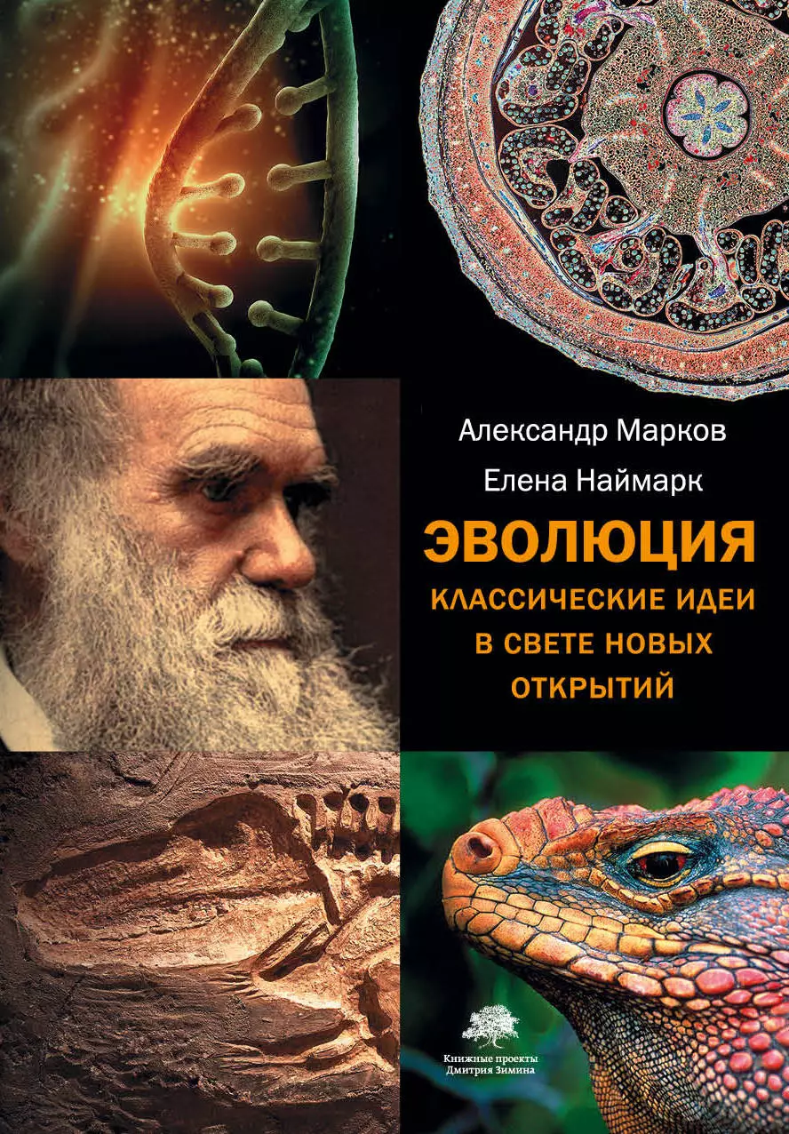 Марков Александр Владимирович Эволюция. Классические идеи в свете новых открытий(2-ое издание) марков александр викторович наймарк елена борисовна эволюция человека [в 3 кн ] книга 3 кости гены и культура