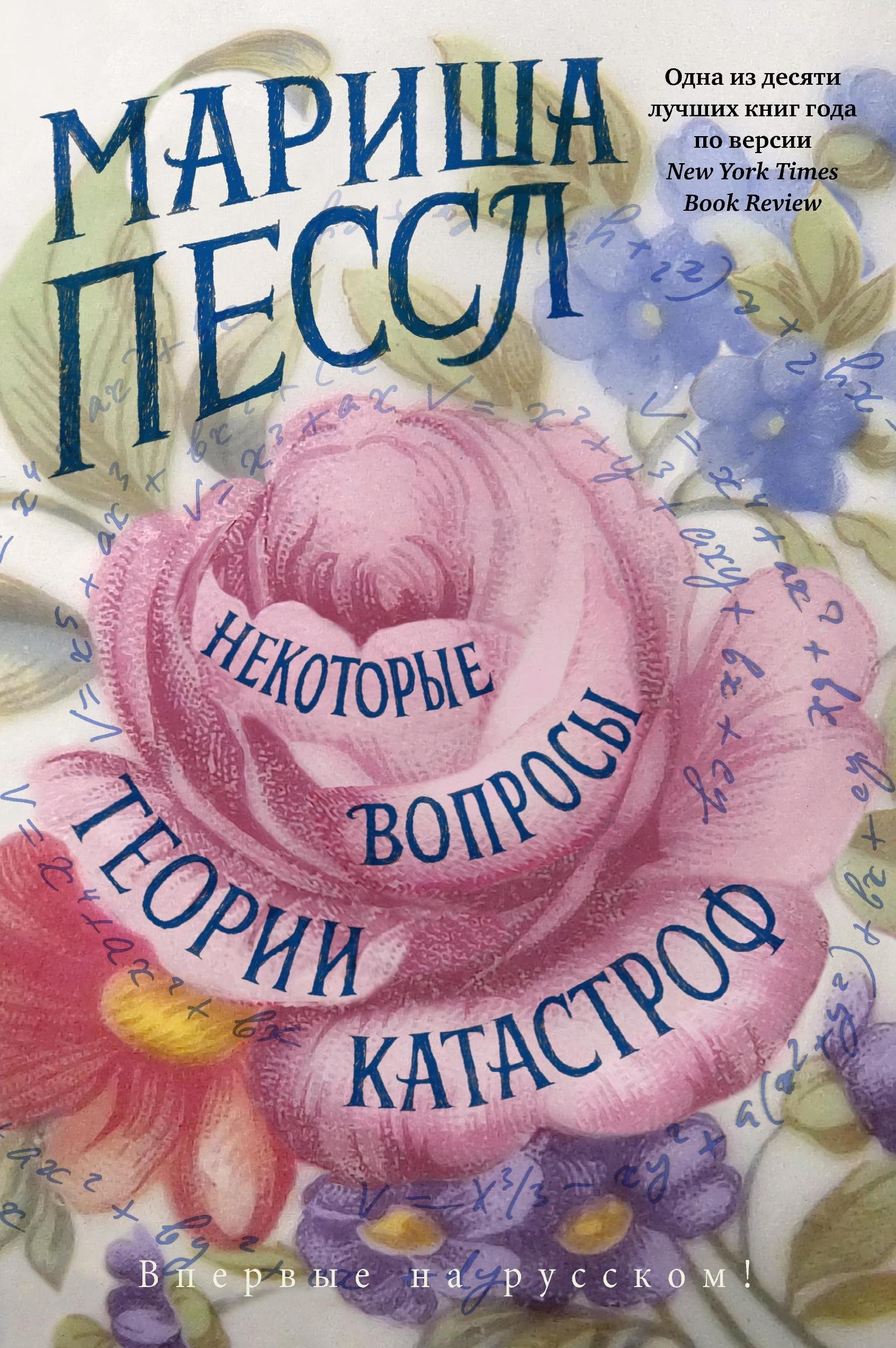 

Некоторые вопросы теории катастроф