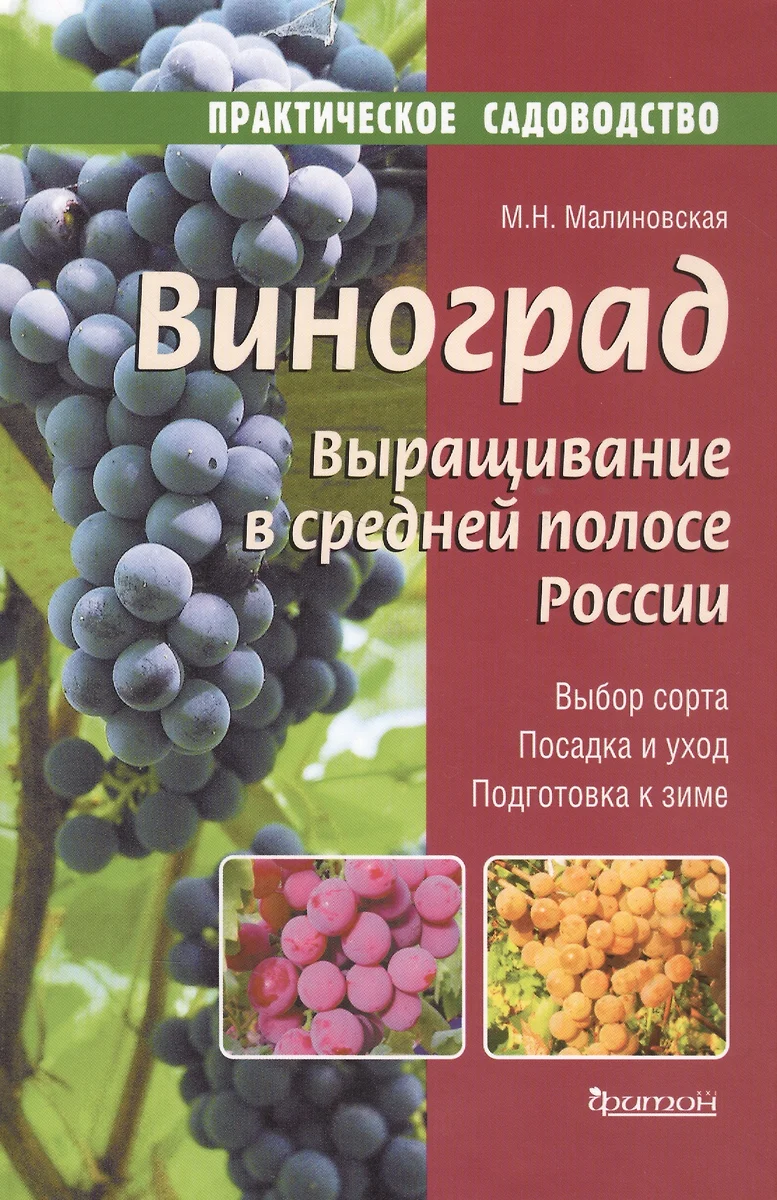 Виноград.Выращивание в средней полосе России.Выбор сорта.Посадка и  уход.Подготовка к зиме (Марина Малиновская) - купить книгу с доставкой в  интернет-магазине «Читай-город». ISBN: 978-5-90-681111-0