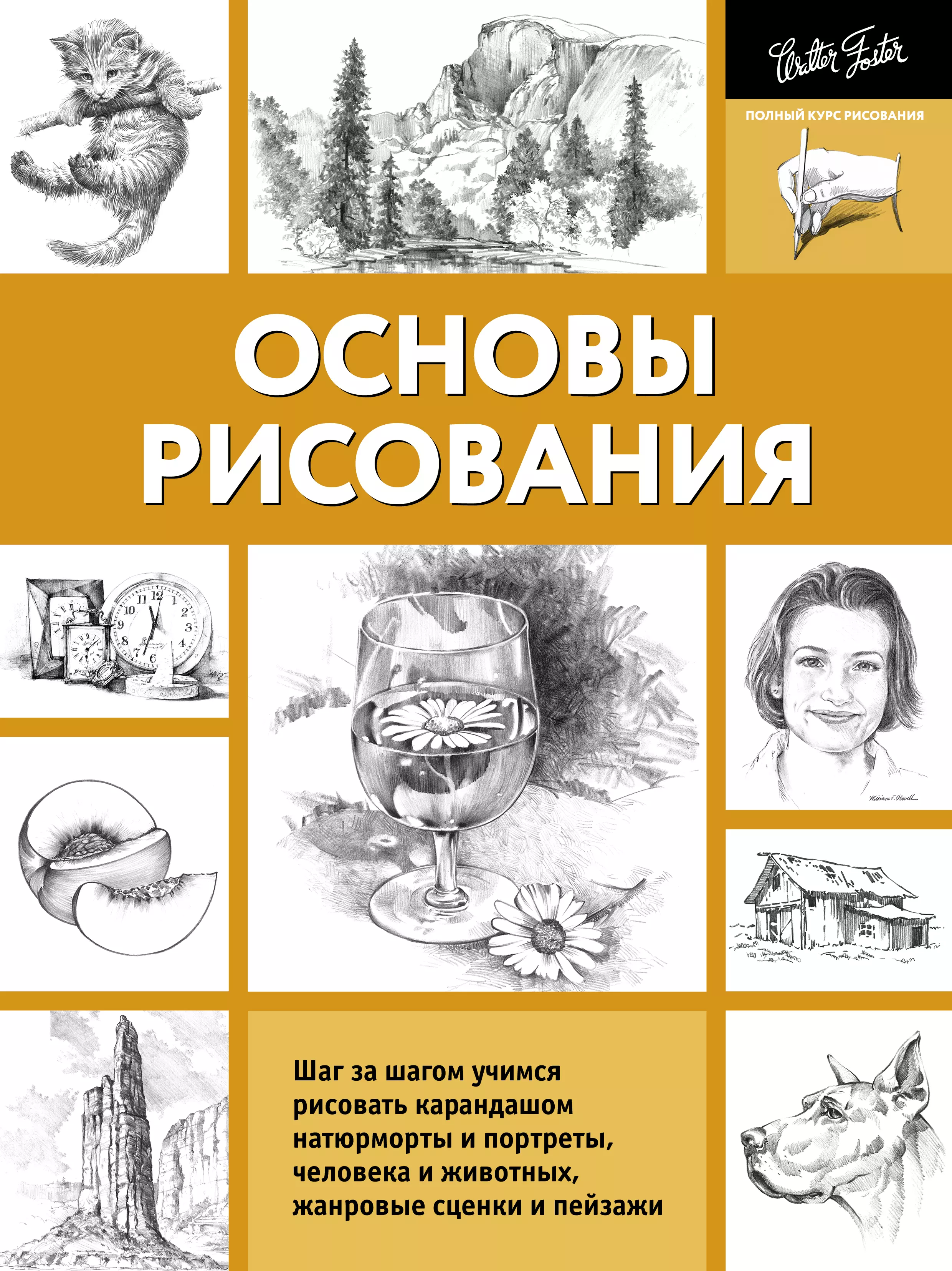 Степанова А. Н. Основы рисования