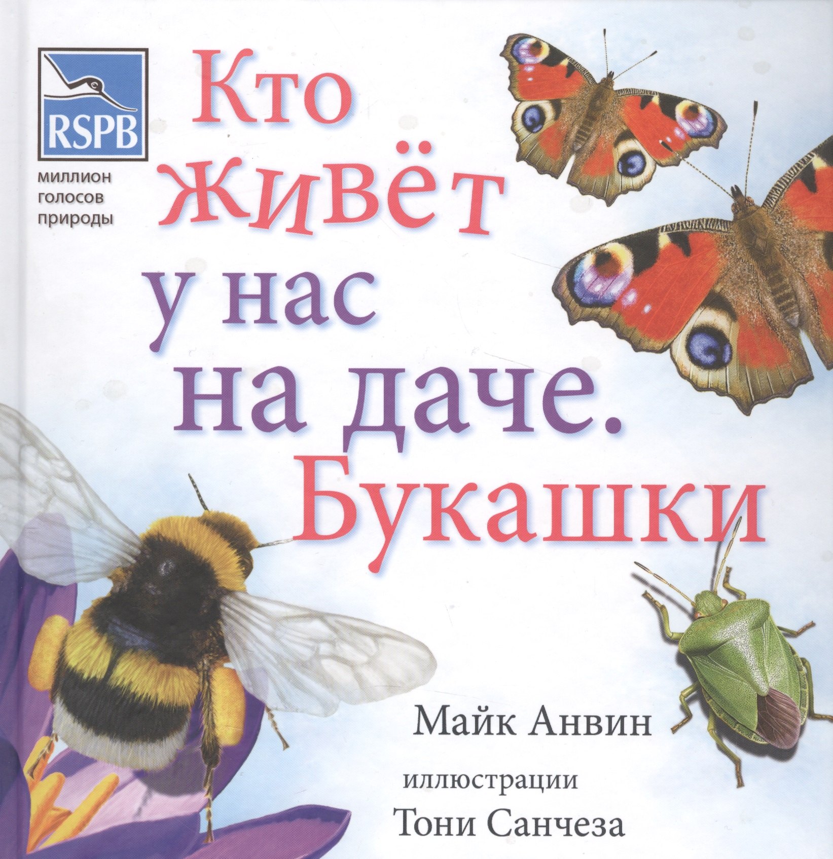 

Кто живет у нас на даче. Букашки