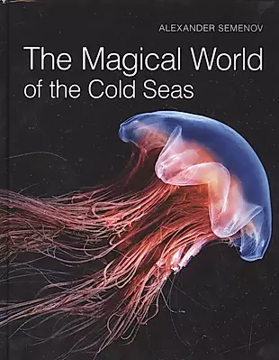 The Magical World of the Cold Seas — 2559714 — 1