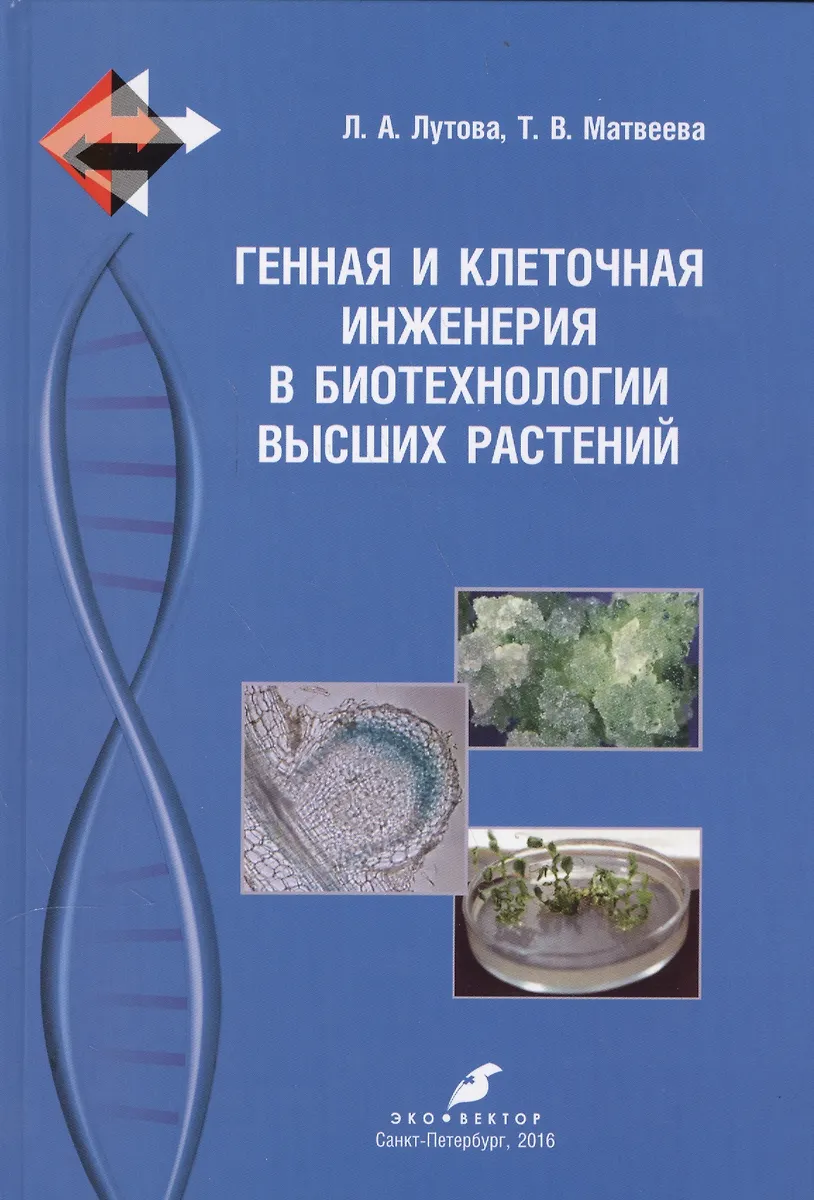 Генная и клеточная инженерия биотехнология
