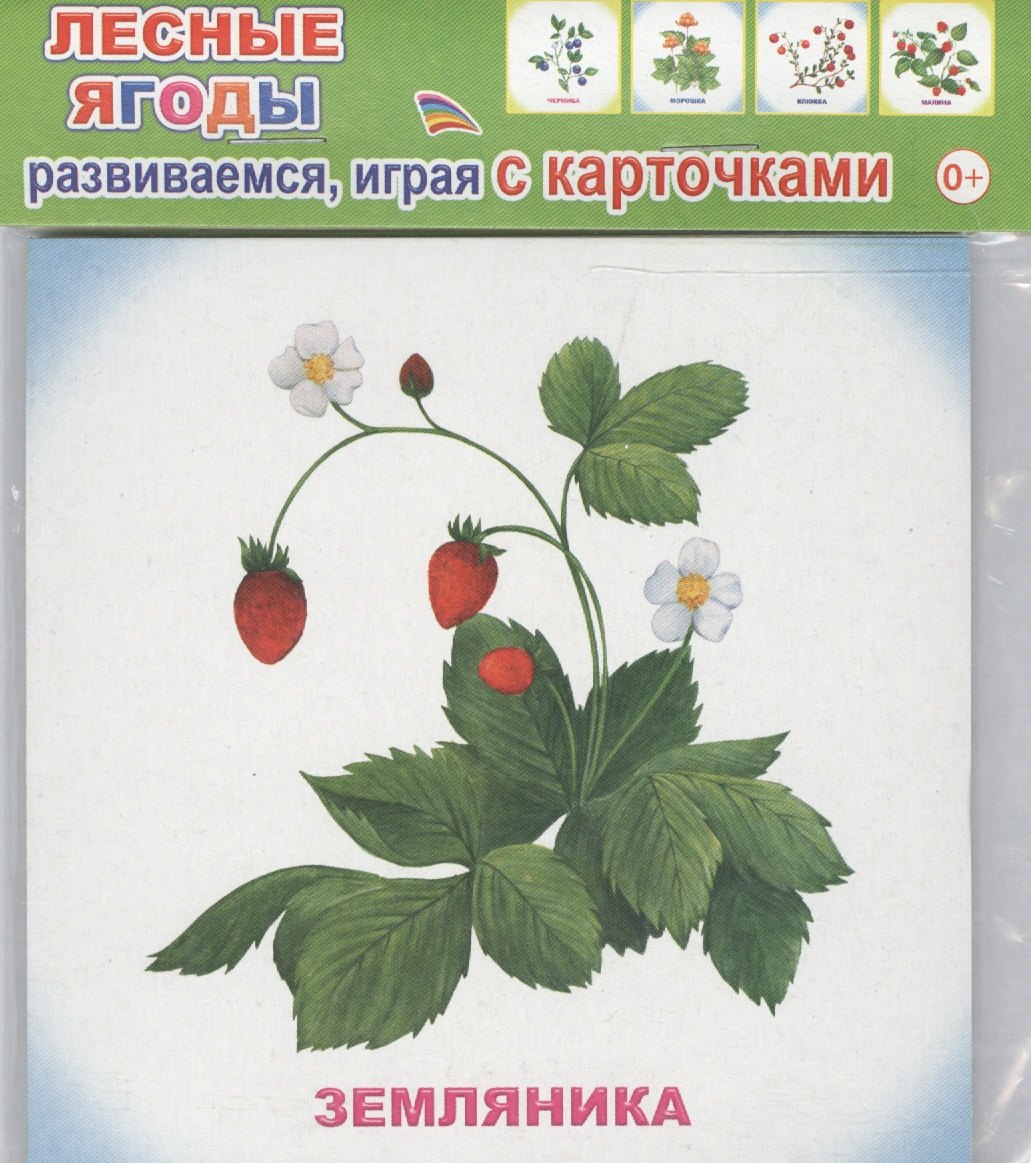 

Обучающие карточки Лесные ягоды (упаковка) (978-5-91282-757-0)