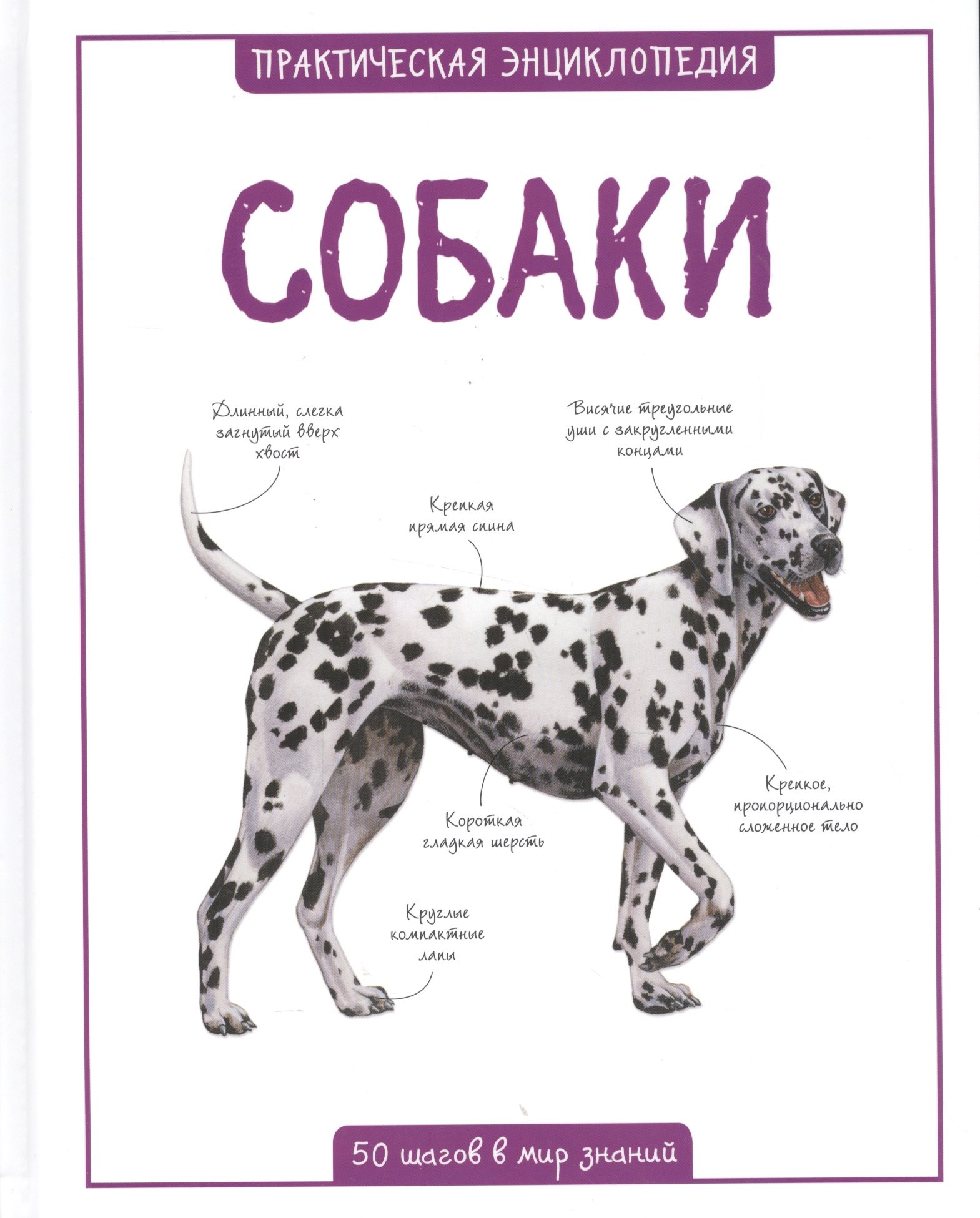 

Собаки
