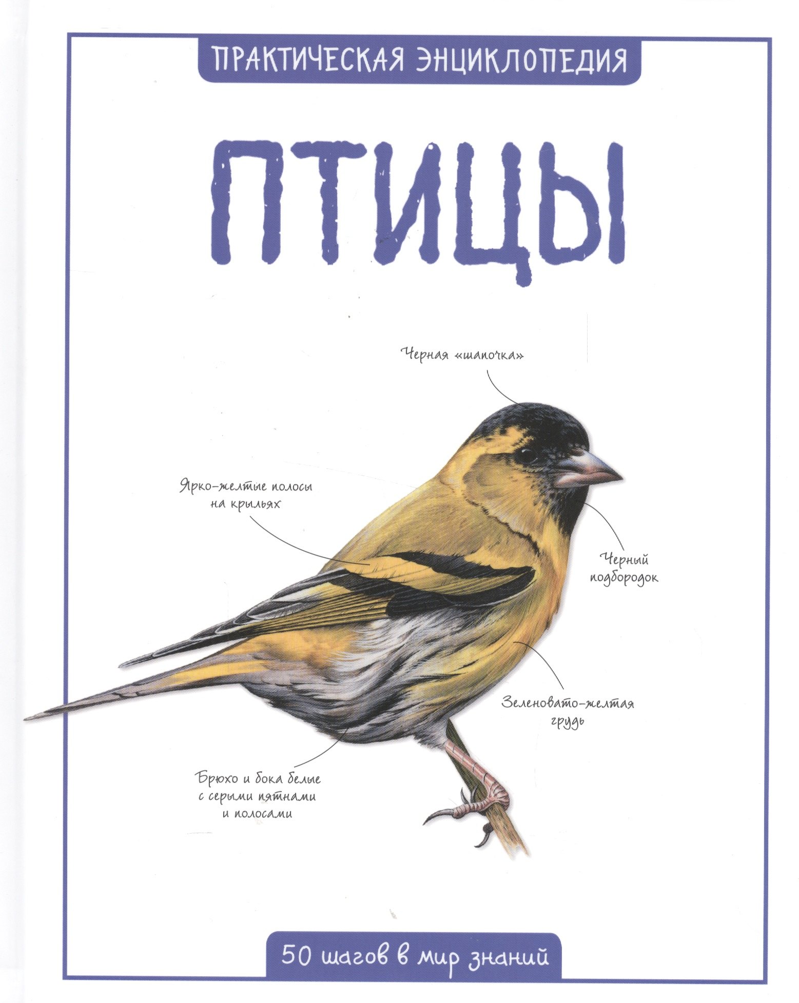 

Птицы