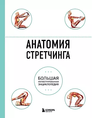 Анатомия стретчинга. Большая иллюстрированная энциклопедия — 2566124 — 1