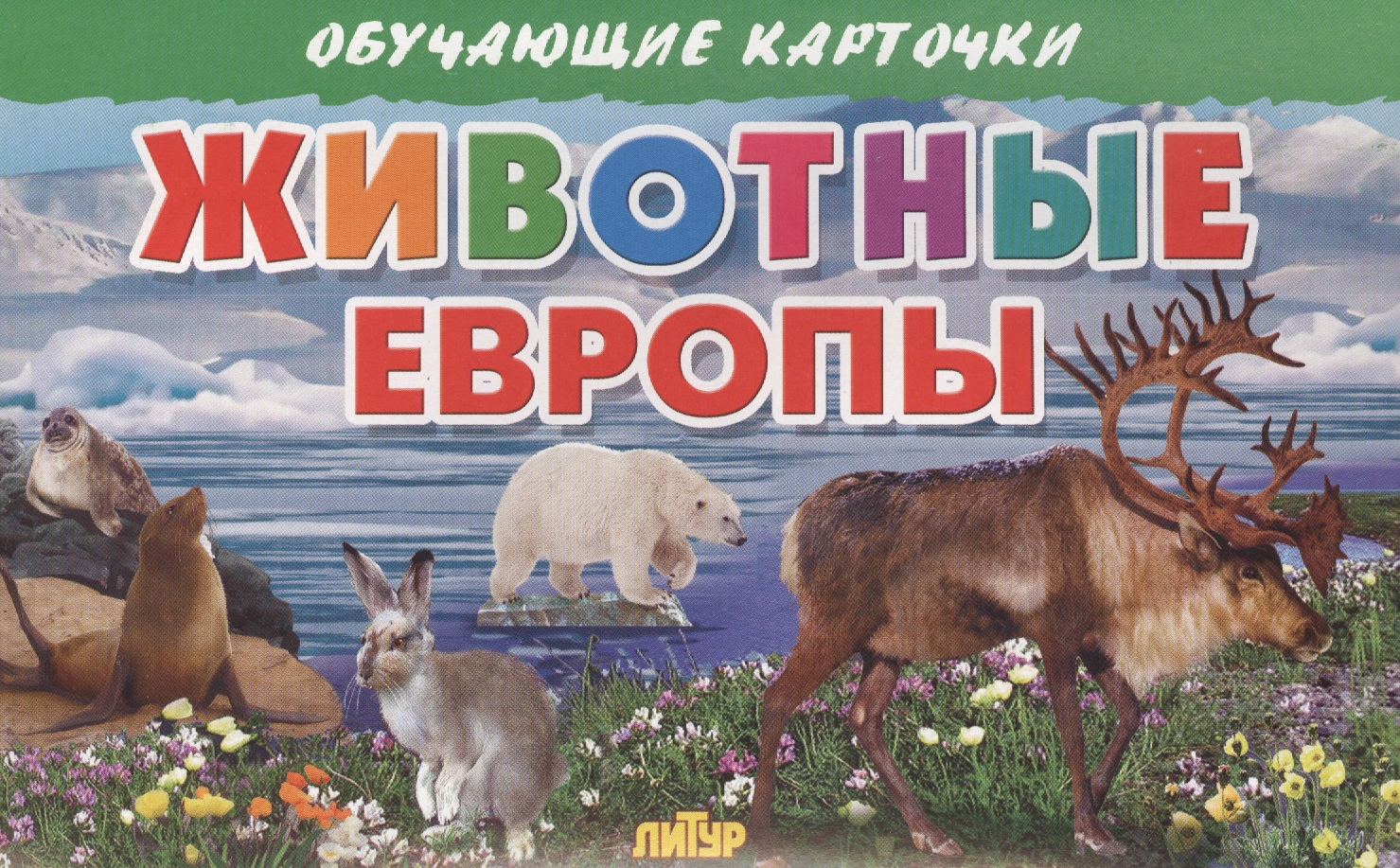 Животные Европы плакат животные европы 550х770