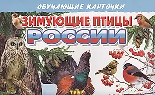 Зимующие птицы России — 2568233 — 1