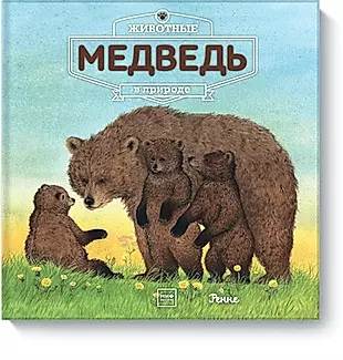 Животные в природе. Медведь — 2569544 — 1