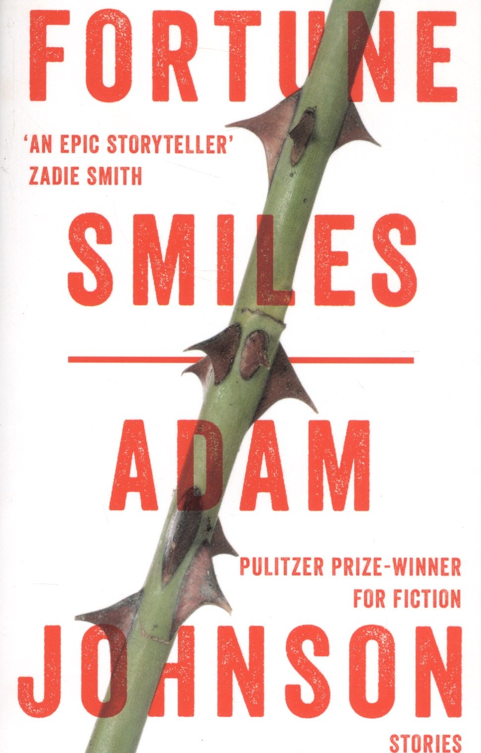 

Fortune Smiles