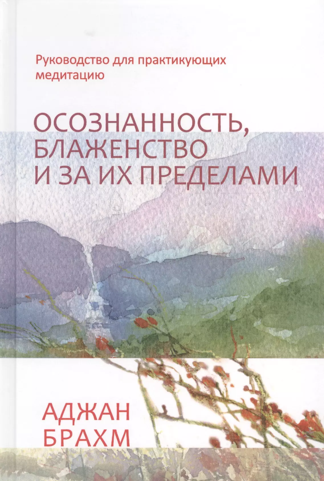 Брахм Аджан - Осознанность, блаженство и за их пределами. Руководство для практикующих медитацию