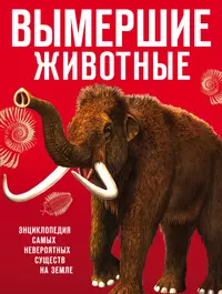 Книги о животных картинки