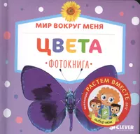 Мир вокруг меня английский язык 3 класс. Мир вокруг меня. Книга я и мир вокруг. Мир вокруг меня Clever. Книжка мир вокруг меня.