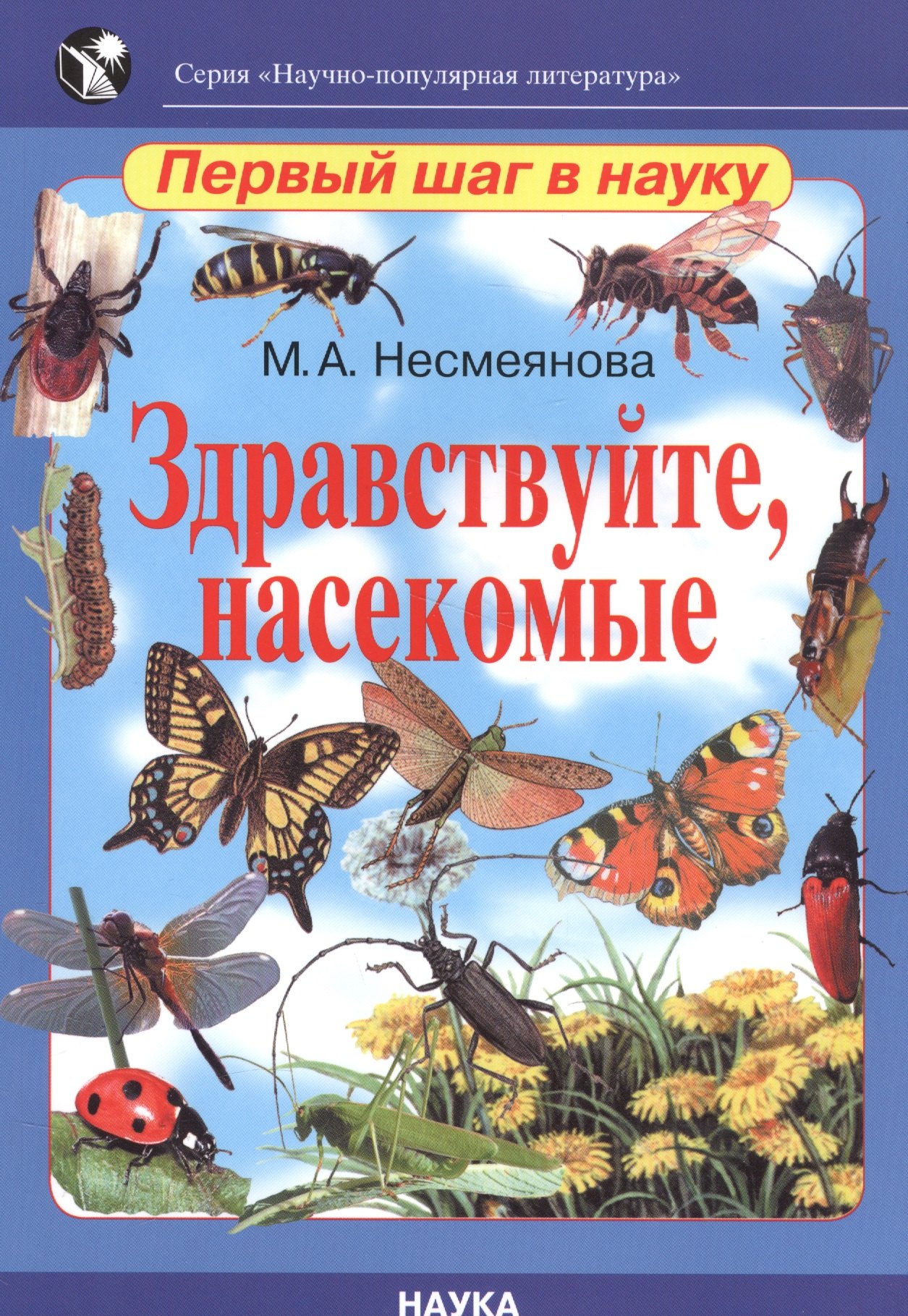 

Здравствуйте, насекомые