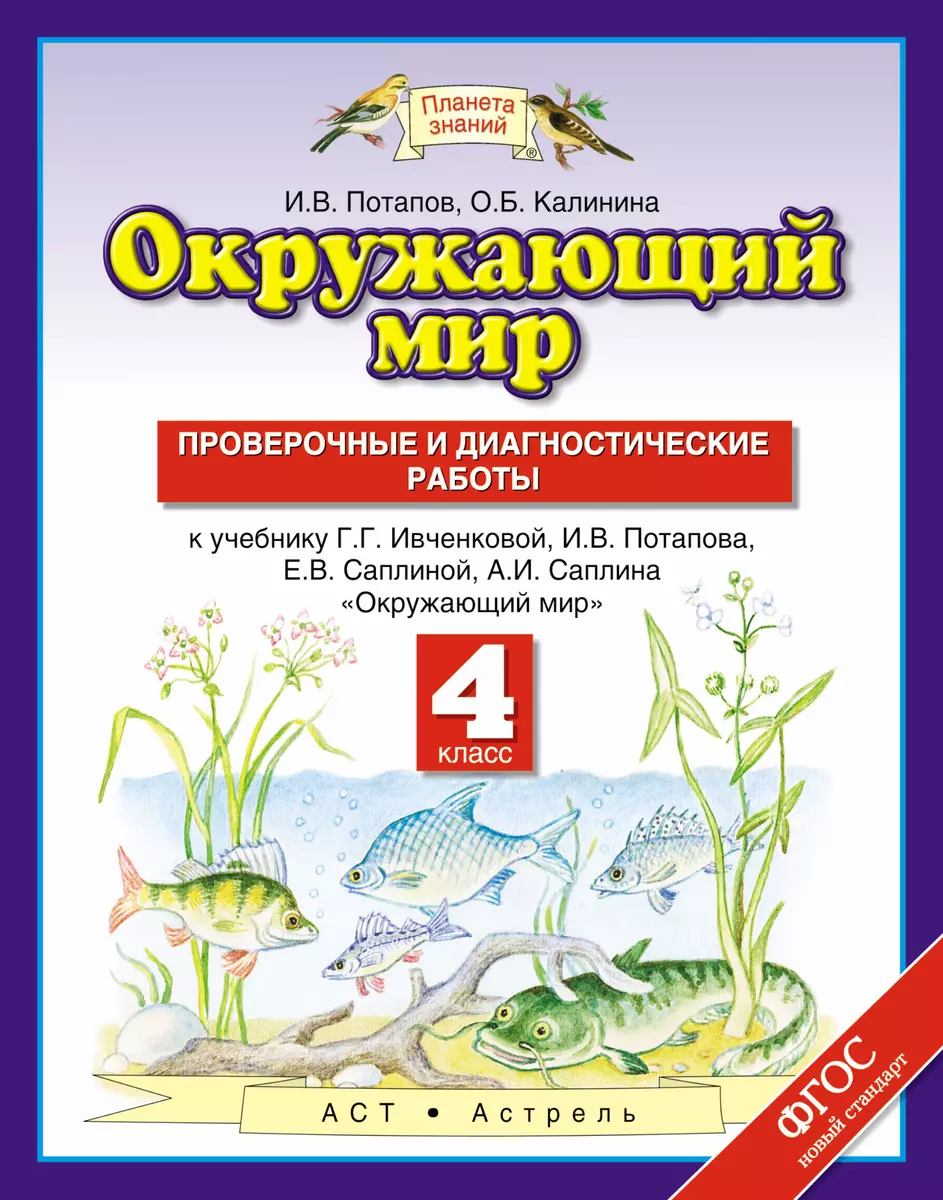 Окружающий мир: проверочные и диагностические работы: 4 класс: к учебнику  Г.Г. Ивченковой и др. 