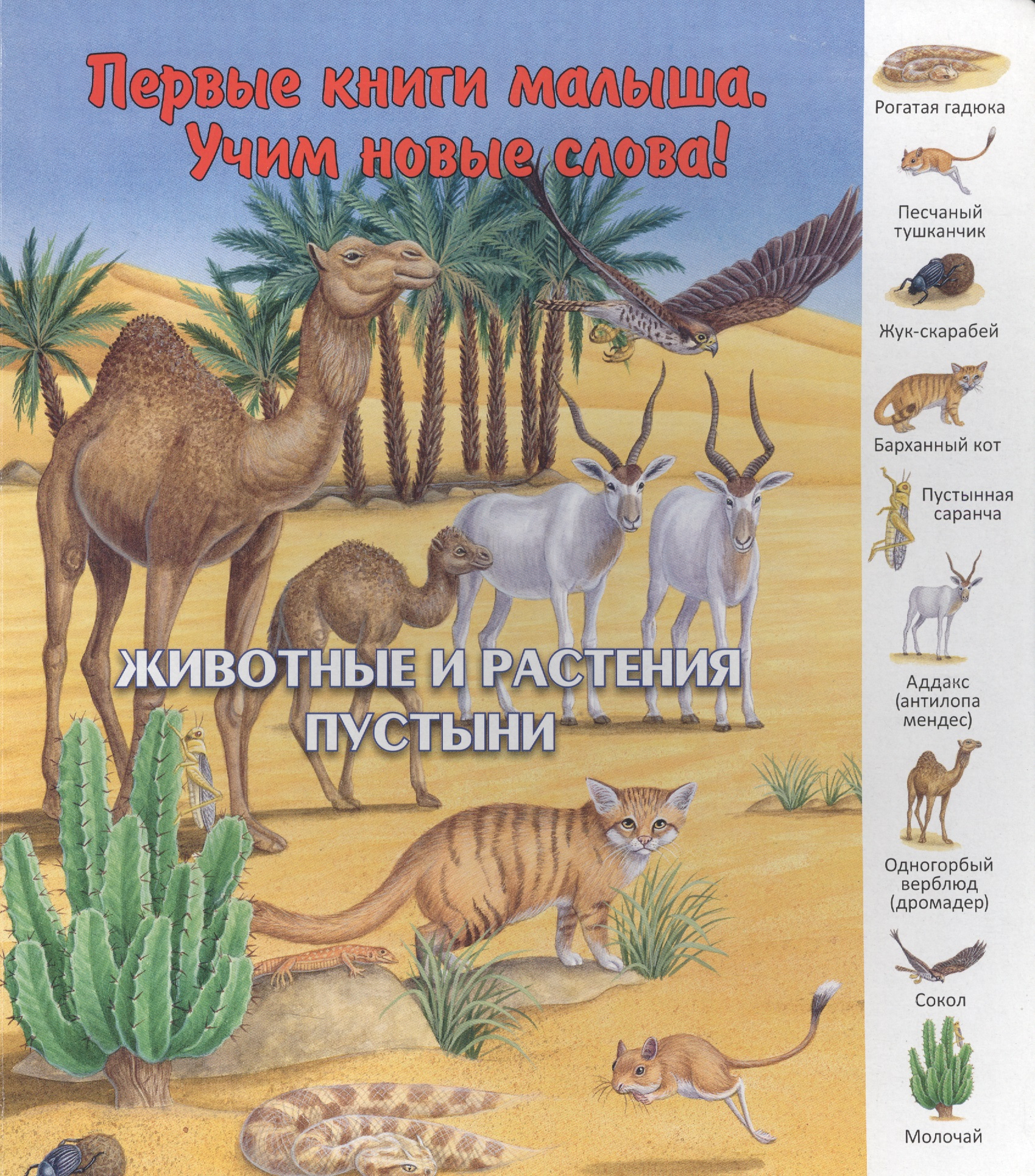 Животные и растения пустыни (ПерКнМалУчНовСл) (картон) Комарова