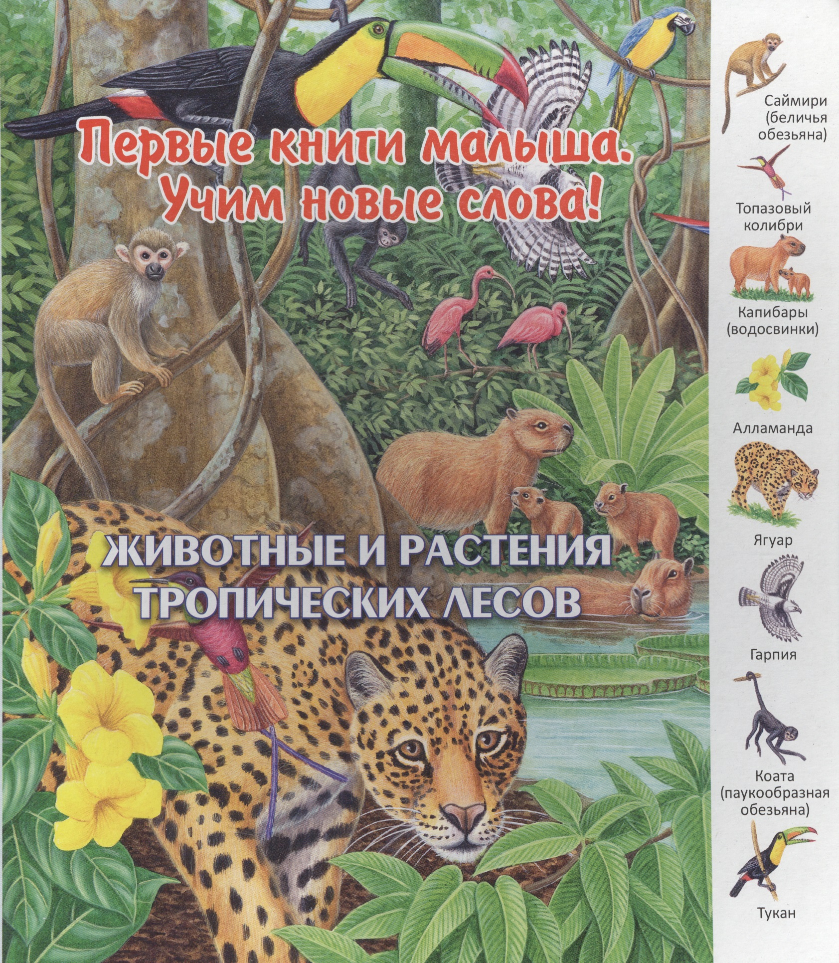 Животные и растения тропических лесов (ПерКнМалУчНовСл) (картон) Комарова набор safari ltd животные влажных тропических лесов